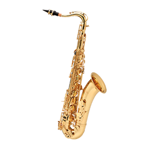 Saxophone T&eacute;nor, Buffet Crampon S&eacute;rie 100